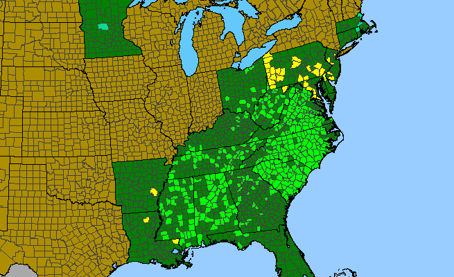 The range of Penstemon laevigatus